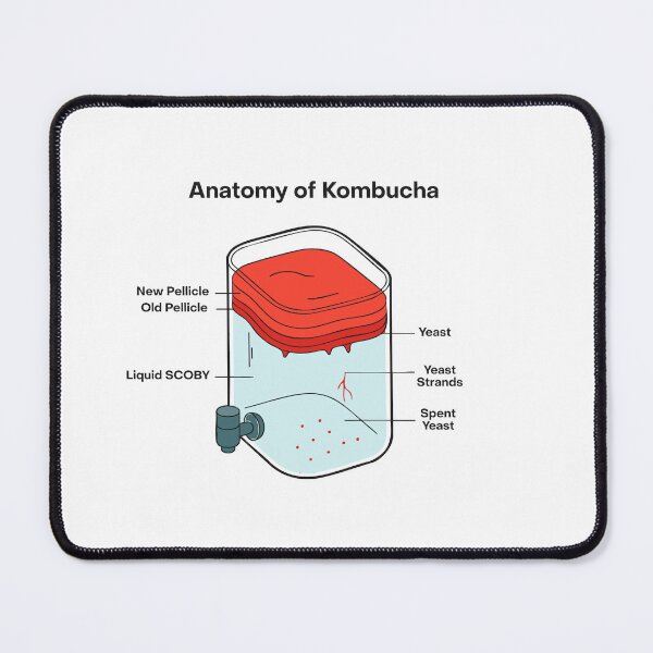 Item preview, Anatomy of Kombucha – Fermentation Illustration designed and sold by MICROBE & CO..