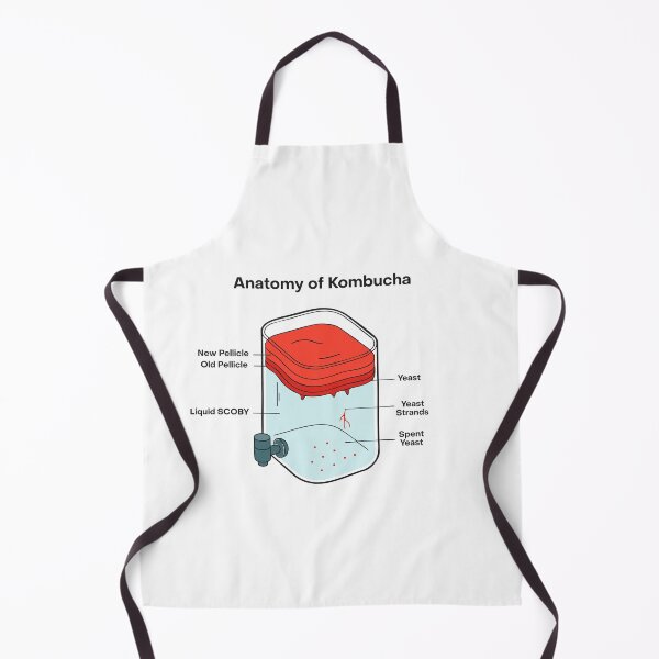 Item preview, Anatomy of Kombucha – Fermentation Illustration designed and sold by MICROBE & CO..