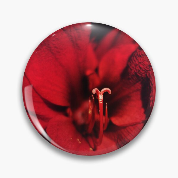 Item preview, RED Amaryllis designed and sold by PixelJo.