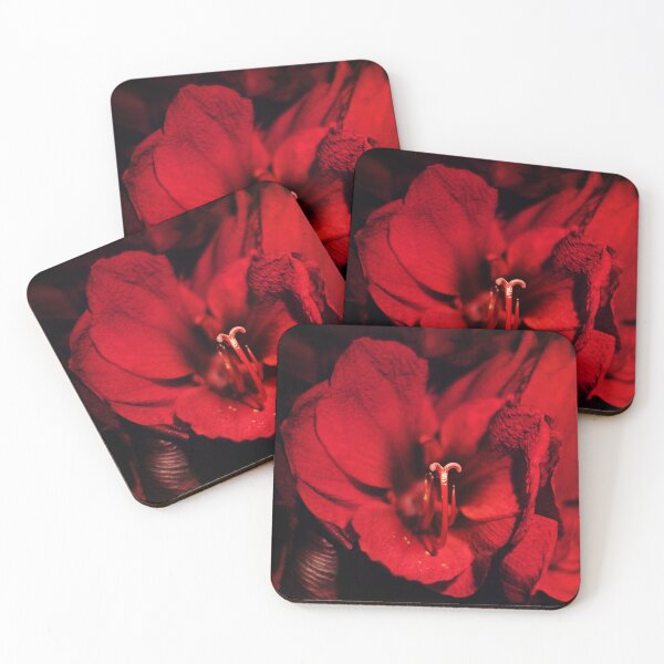 Item preview, RED Amaryllis designed and sold by PixelJo.
