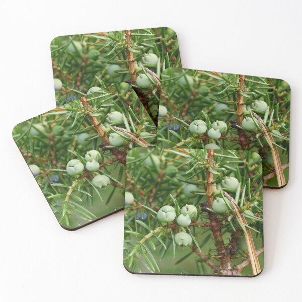 Item preview, Juniper berries getting blue designed and sold by Jouko Lehto Photography.
