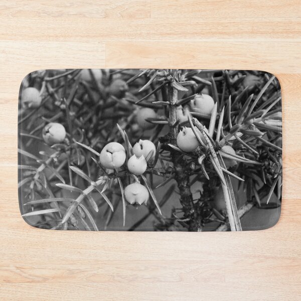 Item preview, Juniper berries getting blue bw designed and sold by Jouko Lehto Photography.