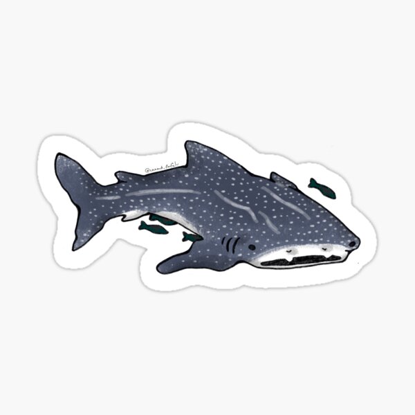 Item preview, whale shark sticker  designed and sold by canard_farfelu.