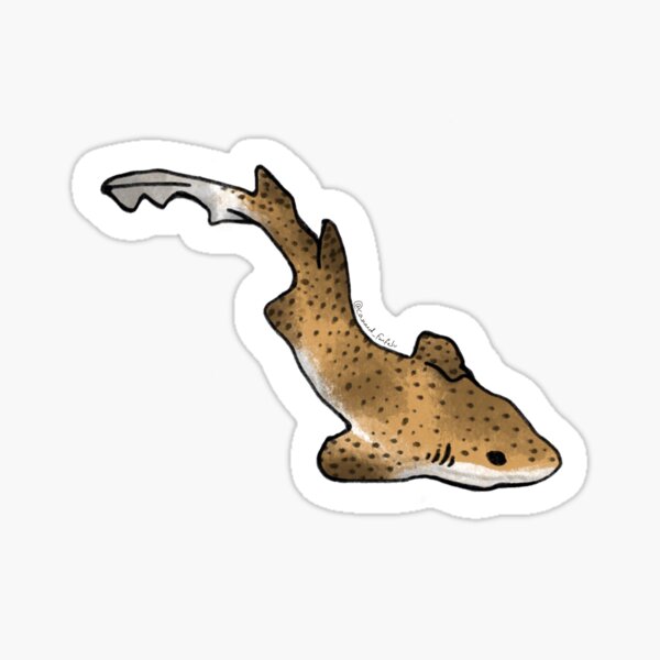 Item preview, small spotted cat shark sticker designed and sold by canard_farfelu.