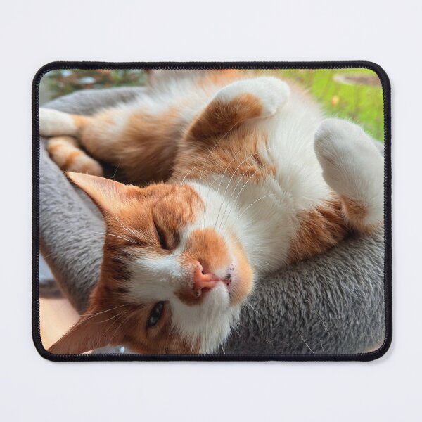 Item preview, lying cat designed and sold by kreativkompass.