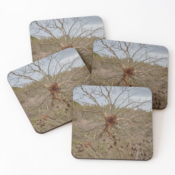 Item preview, Fallen Tree In The Coastal Grassland designed and sold by MadeulookArt.