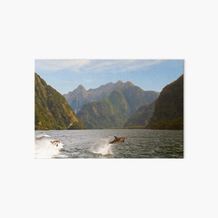 Hall Arm in Doubtful Sound Art Board Print