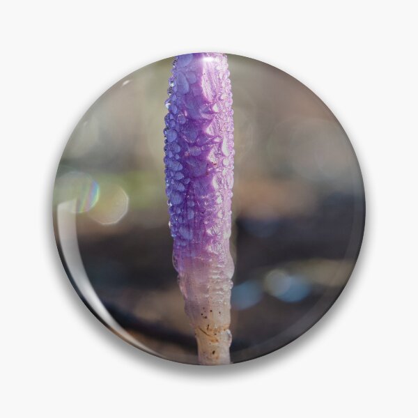 Item preview, Morgentau On Crocus In Sunlight designed and sold by MadeulookArt.