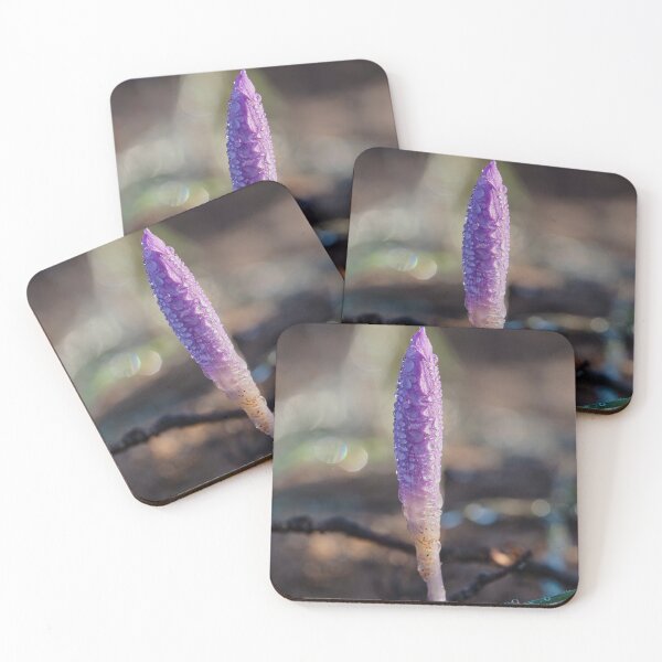 Item preview, Morgentau On Crocus In Sunlight designed and sold by MadeulookArt.