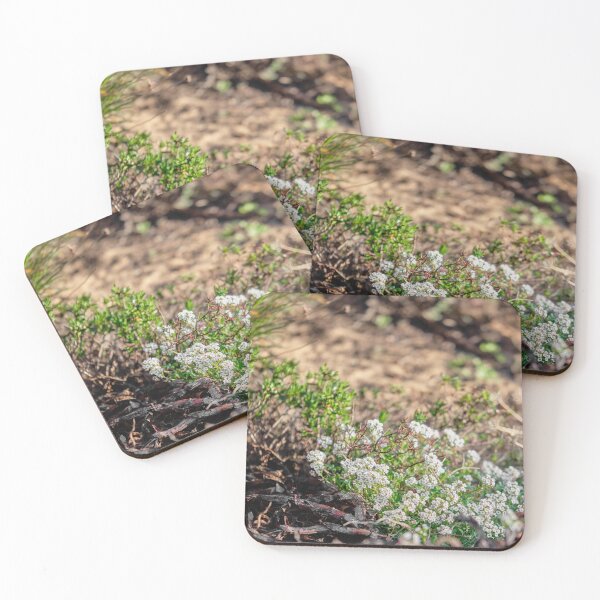 Item preview, Delicate Wildflowers On The Side Of The Path designed and sold by MadeulookArt.