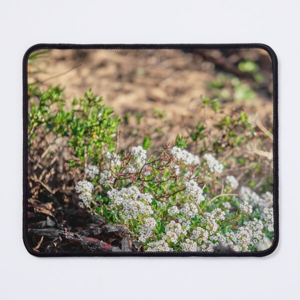 Item preview, Delicate Wildflowers On The Side Of The Path designed and sold by MadeulookArt.