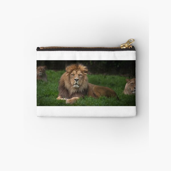 Item preview, Three Lions designed and sold by Nigel R Bell Photography.