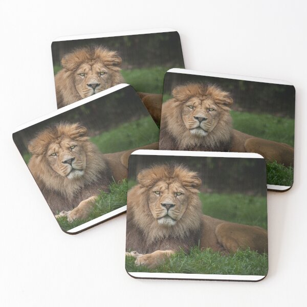 Item preview, Three Lions designed and sold by Nigel R Bell Photography.