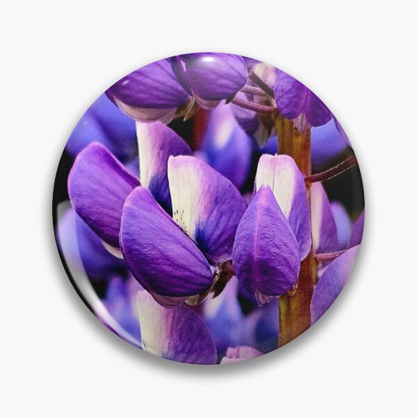 Item preview, Symphony of Purple: Lupine in Bloom designed and sold by Cloud-Riders.