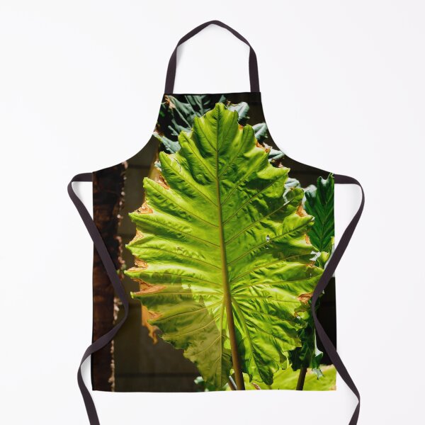 Item preview, Sunlight In The Palm Grove designed and sold by MadeulookArt.