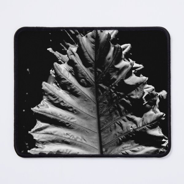 Item preview, Contrasts In The Palm Light designed and sold by MadeulookArt.