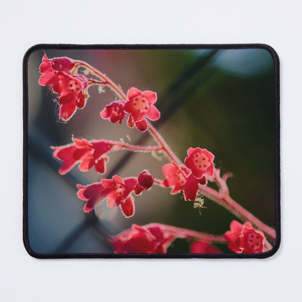 Item preview, Bloomed Flower Behind Wire designed and sold by MadeulookArt.