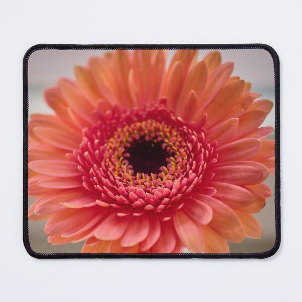 Item preview, Radiant Flower On Wooden Window Ledge designed and sold by MadeulookArt.
