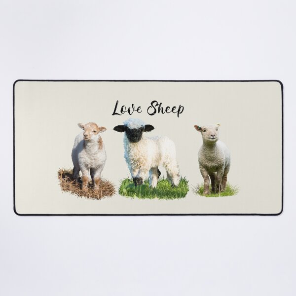 Item preview, Love Sheep Placement Print designed and sold by Jane Stanley Photography.