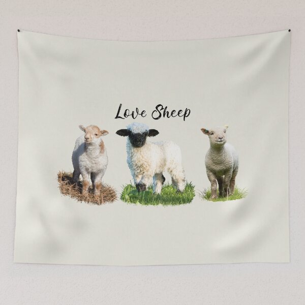 Item preview, Love Sheep Placement Print designed and sold by Jane Stanley Photography.
