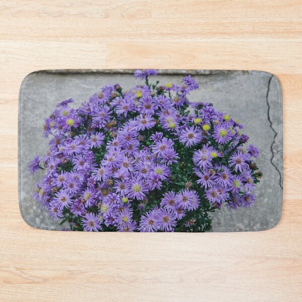 Item preview, Violet Flowers In The Clay Pot On An Ancient Italian Wall designed and sold by MadeulookArt.