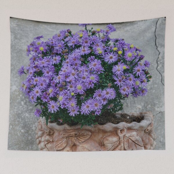 Item preview, Violet Flowers In The Clay Pot On An Ancient Italian Wall designed and sold by MadeulookArt.