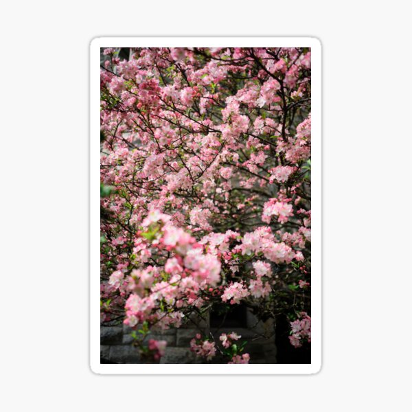 Item preview, Sea Of Flower In Pink designed and sold by MadeulookArt.