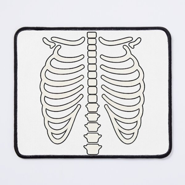 Item preview, Minimalist Human Rib Cage Skeleton Illustration designed and sold by ArtfulWeave.