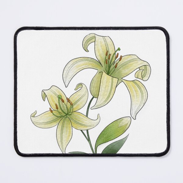 Item preview, Lilies designed and sold by Lily Illustratio Fidei.