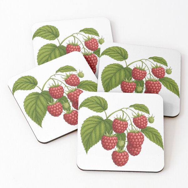 Item preview, Realistic Raspberry Botanical Illustration designed and sold by ArtfulWeave.