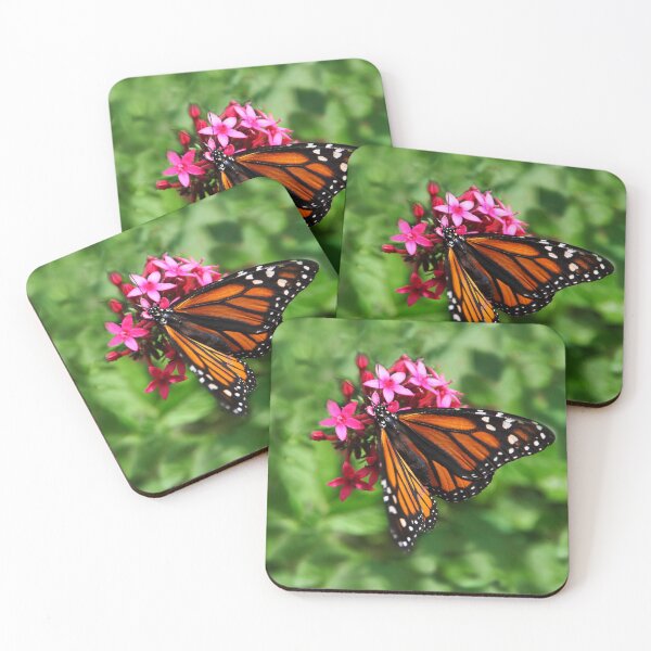 Aperçu de l'œuvre Le monarque de la nature créée et vendue par heatherfriedman.