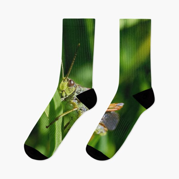 Item preview, Grasshopper on a discovery tour designed and sold by beatbieri.ch.