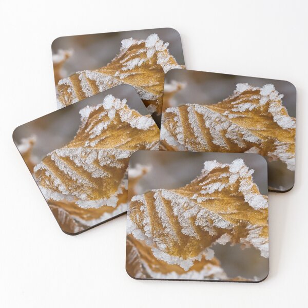 Item preview, Ice crystals on autumn leaf designed and sold by beatbieri.ch.