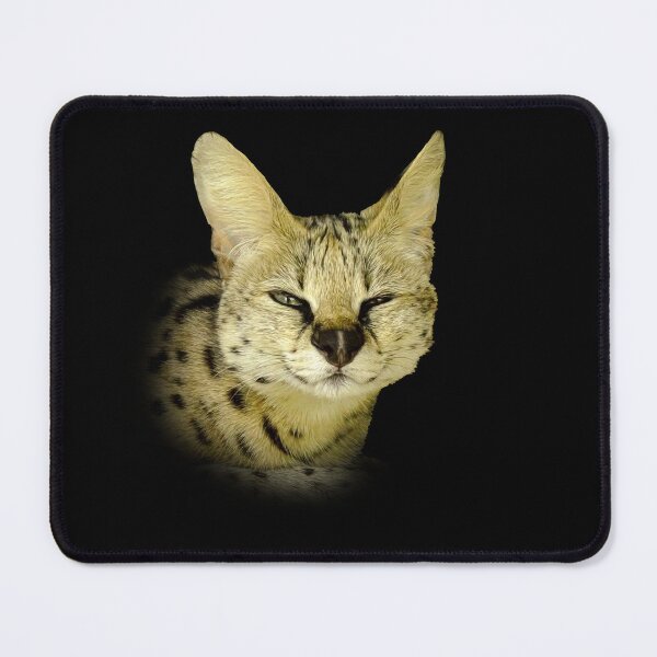 Item preview, Serval designed and sold by Guardi71.