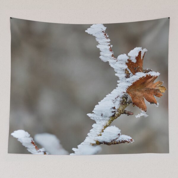 Item preview, Wind-shaped ice crystals – sculptures of nature designed and sold by beatbieri.ch.