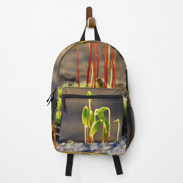 Item preview, Moss with sporophytes – life in miniature designed and sold by beatbieri.ch.