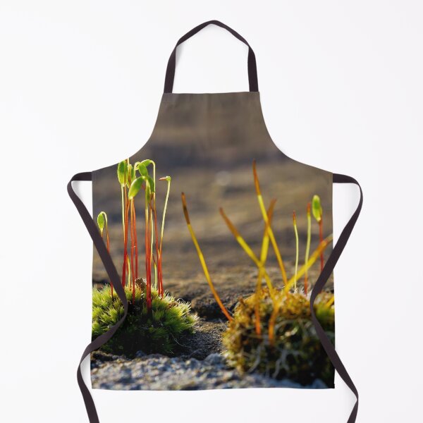 Item preview, Moss with sporophytes – life in miniature designed and sold by beatbieri.ch.