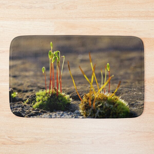 Item preview, Moss with sporophytes – life in miniature designed and sold by beatbieri.ch.