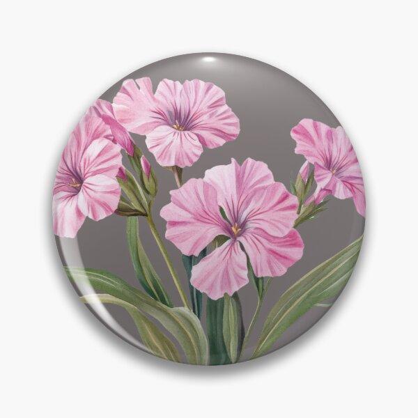 Item preview, Pink Dianthus Botanical Flower Illustration designed and sold by AchaRat.