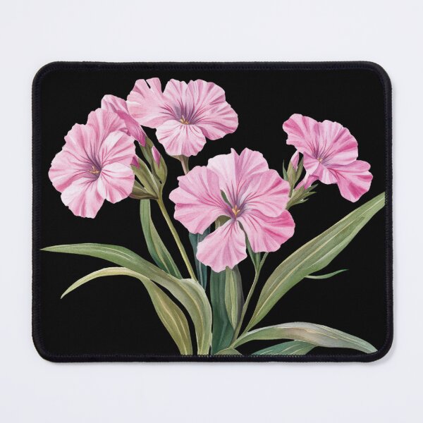 Item preview, Pink Dianthus Botanical Flower Illustration designed and sold by AchaRat.