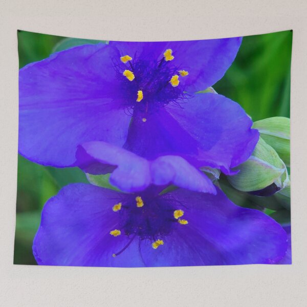 Item preview, Purple Spiderwort designed and sold by bjtomiko.