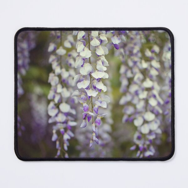 Item preview, Wisteria Flowers designed and sold by LupenGrainne.