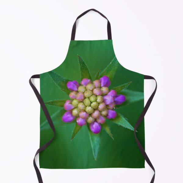 Item preview, Bud of the meadow scabious designed and sold by beatbieri.ch.