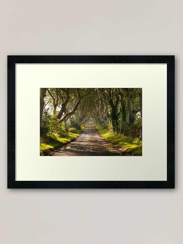 Alternate view of The Dark Hedges Framed Art Print