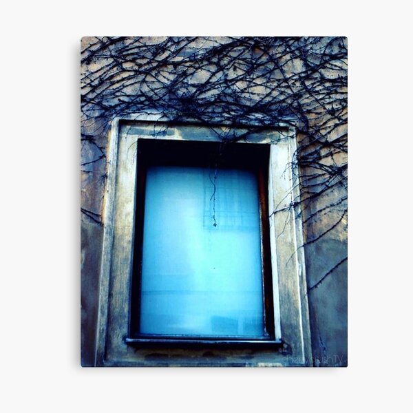 window Canvas Print