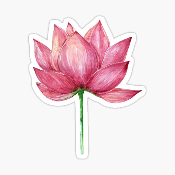 Item preview, Hand Painted Beautiful Lotus Illustration designed and sold by MeshaArts.
