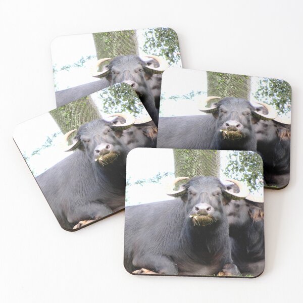 Item preview, Water Buffalo designed and sold by ShutterbugBttns.