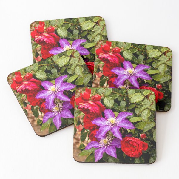 Item preview, Flower - Rose - Beautiful mind and Beautiful heart designed and sold by Mike Savad Photography.