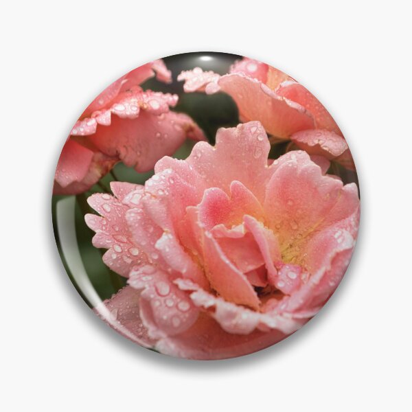 Item preview, Flower - Rose - Love in full bloom designed and sold by Mike Savad Photography.