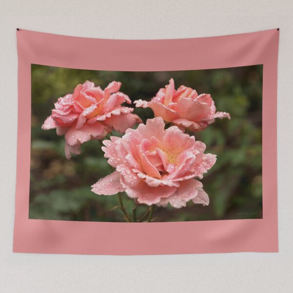 Item preview, Flower - Rose - Love in full bloom designed and sold by Mike Savad Photography.